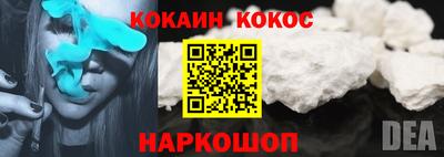 шишки Новозыбков