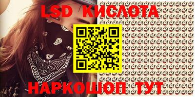 шишки Новозыбков