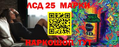 шишки Новозыбков