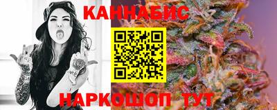 шишки Новозыбков