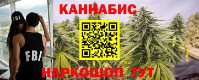 шишки Новозыбков