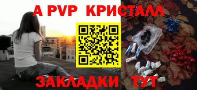 шишки Новозыбков